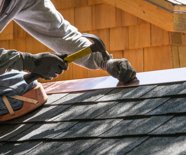 Best Roof Gutter Cleaning  in Mount Vernon, WA
